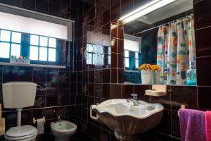 a bathroom with a sink and a toilet and a mirror at Offshore Rustic House in Peniche +53 photos