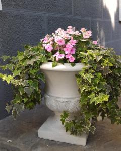 A garden outside B&B LE MAGNOLIE