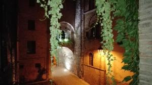 Une allée dans un ancien bâtiment avec lierre dans l'établissement Palazzetto Bentivoglio, à Sassoferrato