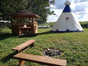 Gallery image of Glamping Podgrodzie in Nowe Warpno +41 photos