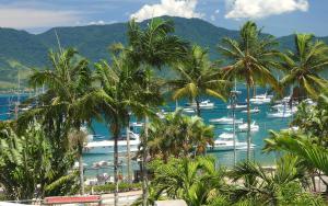 a group of boats in a harbor with palm trees at Hotel Itapemar - Ilhabela in Ilhabela
