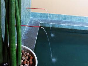 a bath tub with a water fountain next to a cactus at Hotel Itapemar - Ilhabela in Ilhabela