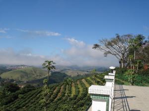ランバリにあるPousada Lambari Montanha Hotelのブドウ畑の景色を望む客室です。