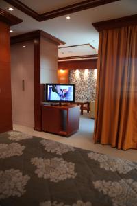 TV a/nebo společenská místnost v ubytování Garni Hotel Aleksandar
