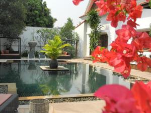 Bazén v ubytování Eureka Villas Siem Reap nebo v jeho okolí