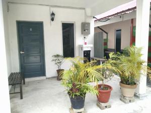 a group of potted plants in front of a door at Niyaz Inn in Pantai Cenang