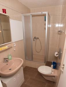 een badkamer met een douche, een toilet en een wastafel bij Gasthaus zum Adler in Baden-Baden