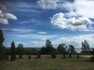 穆斯特韋的住宿－Mustvee Kortermajutus，一片绿地,一片蓝天,云朵
