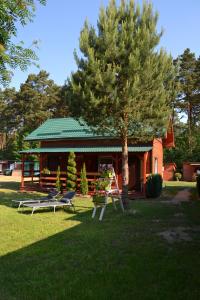 ポゴジェリツァにあるDomki Leśny Zakątekの椅子2脚と芝生の木のある家