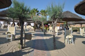 un patio avec des chaises, des arbres et des parasols dans l'établissement Villa L'Aurora, à Pescara