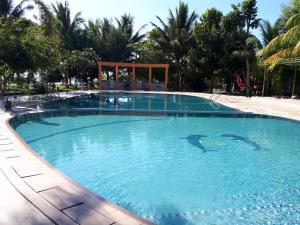 two dolphins swimming in a large swimming pool at Hotel Wailiti in Maumere