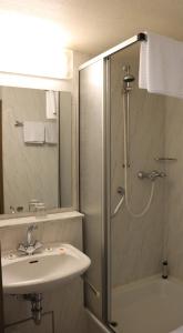 a bathroom with a shower and a sink at Hotel Zum Waldstein in Weißenstadt