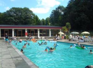 a group of people in a swimming pool at Cozy Snowdonia Chalet in Caernarfon