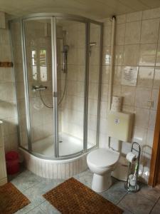 a bathroom with a shower and a toilet at FerienWohnung Gebhardt in Binz