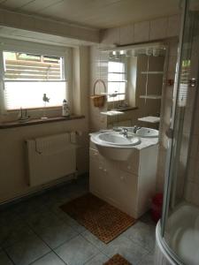 a bathroom with a sink and a shower and a mirror at FerienWohnung Gebhardt in Binz