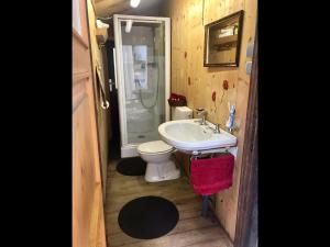 a small bathroom with a toilet and a sink at Knottn Hüttl, St. Pankraz/Ulten, Nähe Meran in San Pancrazio dʼUltimo +68 photos