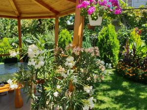 Billede fra billedgalleriet på Kyurkchievi Guest House i Sapareva Banya