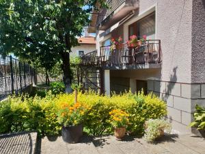 Billede fra billedgalleriet på Kyurkchievi Guest House i Sapareva Banya