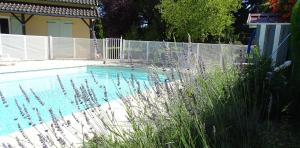 a swimming pool in a yard with tall grass at le Relais des Tuileries in Séreilhac