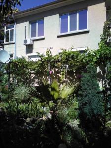 a house with a lot of plants in front of it at Viki in Burgas City