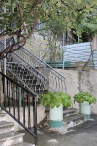 A garden outside mariko