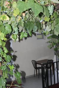 A garden outside mariko