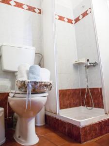 a bathroom with a toilet and a shower at Guesthouse Xenios Zeus in Stavroupoli