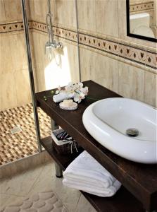 La salle de bains est pourvue d'un lavabo et d'une douche en verre. dans l'établissement Silva House, à Deva