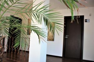Fotografie z fotogalerie ubytování Silva House v destinaci Deva