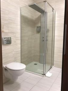 ヴァドヴィツェにあるApartament Sutemiのバスルーム(ガラス張りのシャワー、トイレ付)