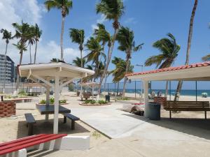 a park with benches and palm trees on the beach at Marbella del Caribe 1608 in San Juan