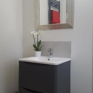 a bathroom with a sink and a mirror at Atrium apartments in Bangor