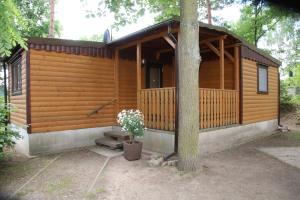 uma cabana de madeira com uma árvore em frente em Country Camping Berlin em Tiefensee