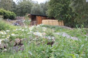 a garden with flowers and a building in the background at Howe of Torbeg in Ballater