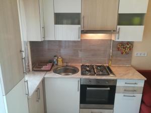 Kuchyň nebo kuchyňský kout v ubytování Rókusi Apartman Szeged