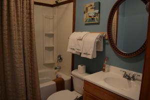 a bathroom with a toilet and a sink and a mirror at A Hyde Away Inn B&B in Tok