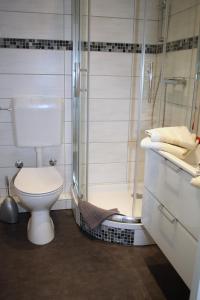 een badkamer met een toilet en een douche bij Ferienwohnung Lia in Altenau
