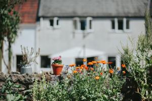 The building where the hotel is located 