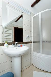 ein Bad mit einem Waschbecken und einem Spiegel in der Unterkunft Vila Ambient in Cristian