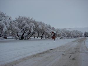 una carretera cubierta de nieve con árboles a lo lejos en Hospedaje "San Andres", en Gobernador Gregores