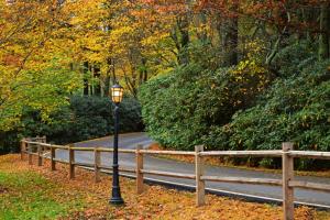 uma luz de rua na berma de uma estrada em Chetola Resort at Blowing Rock (Lodge) em Blowing Rock