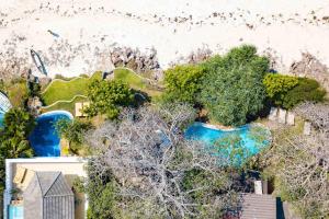 una vista aérea de un patio trasero con piscina y árboles en Tequila Sunrise Beach Cabana - Diani Beach en Diani Beach