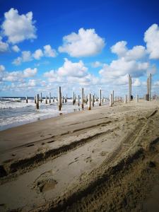 uma praia com postes de madeira na água em Nieuw Strand em Petten