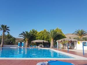 a large swimming pool with palm trees in the background at Orama Hotel in Sígrion