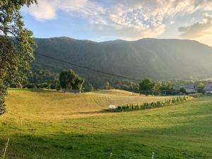 a field of grass with a mountain in the background at Apartma Pr'Toman in Kamna Gorica