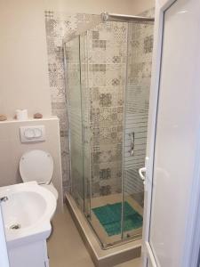 a bathroom with a shower and a toilet and a sink at Studio in Tivat