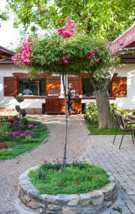 Aed väljaspool majutusasutust Konak Nestor Bungalows