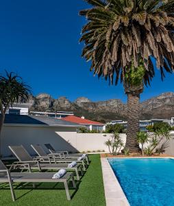 a beach with palm trees and palm trees at Blue Views Villas and Apartments in Cape Town
