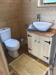 a bathroom with a toilet and a sink at Sutor Coops The Nest with Hot Tub in Cromarty