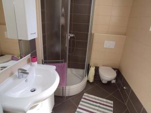 a bathroom with a sink and a shower and a toilet at Federica A2+1 in Veli Lošinj
